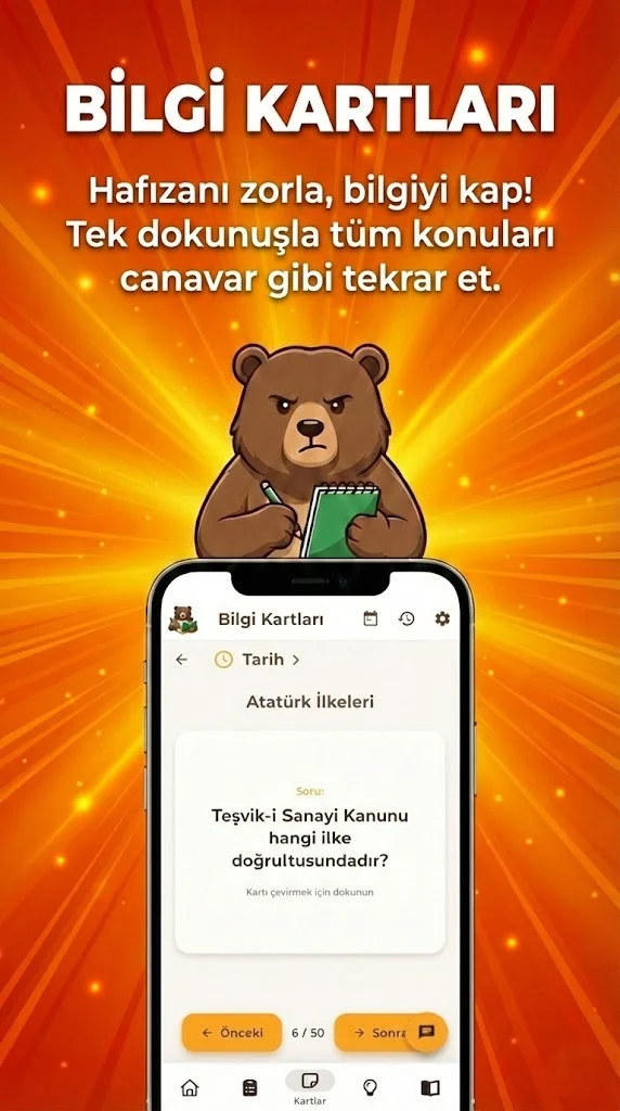 Bilgi Kartları